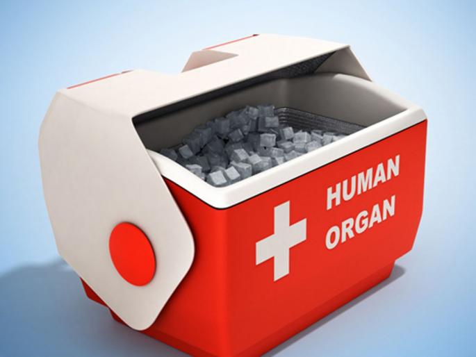 I haven't had a kidney for four years ..! Pain in a patient suffering from kidney disease | चार वर्षे झाली किडनीच मिळत नाही..! तहान लागली, तरी अतिरिक्त पाणी पिता येत नाही...; किडनीविकाराने त्रस्त रुग्णाने मांडली व्यथा I haven't had a kidney for four years ..! Pain in a patient suffering from kidney disease | चार वर्षे झाली किडनीच मिळत नाही..! तहान लागली, तरी अतिरिक्त पाणी पिता येत नाही...; किडनीविकाराने त्रस्त रुग्णाने मांडली व्यथा