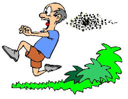 Bee beats attack on cotton fields in Andorra | अंदुरा येथे कापूस वेचणीसाठी गेलेल्या शेतमजुरांवर मधमाशांचा हल्ला! Bee beats attack on cotton fields in Andorra | अंदुरा येथे कापूस वेचणीसाठी गेलेल्या शेतमजुरांवर मधमाशांचा हल्ला!