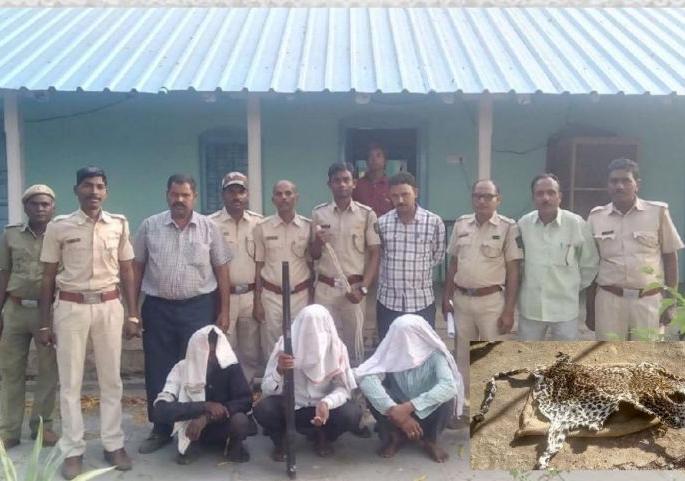 Tandulwani forest hunting case: Three hunters arrested | तांदूळवाणी जंगलातील शिकारप्रकरण : तीन शिकारी अटकेत Tandulwani forest hunting case: Three hunters arrested | तांदूळवाणी जंगलातील शिकारप्रकरण : तीन शिकारी अटकेत