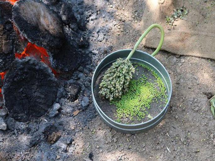 Hurda parties in Khed taluka, Pune; The result of the growing cold | शेकोट्यांबरोबरच खेड तालुक्यात रंगू लागल्या हुरडा पार्ट्या; वाढत्या थंडीचा परिणाम Hurda parties in Khed taluka, Pune; The result of the growing cold | शेकोट्यांबरोबरच खेड तालुक्यात रंगू लागल्या हुरडा पार्ट्या; वाढत्या थंडीचा परिणाम