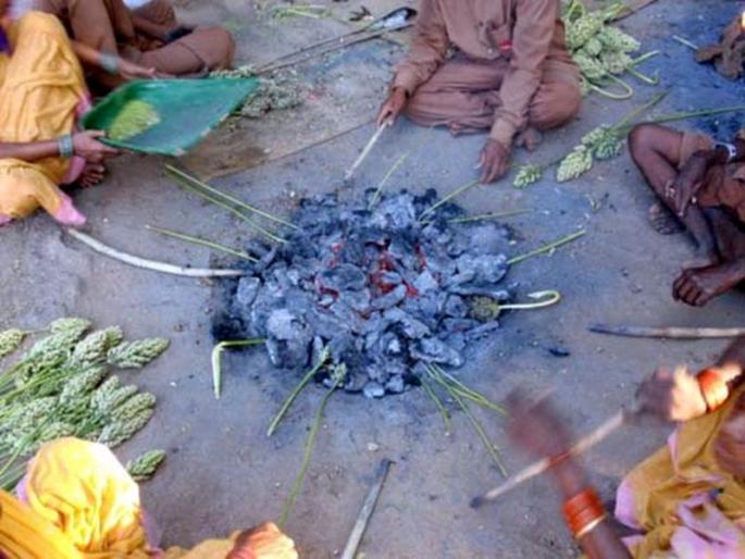 Hooda Party's plan to colorize with the growing cold in the Nashik, along with jawar in rabi season, wheat and gram crops also became hurda | नाशकात वाढत्या थंडीसोबत रंगतायेत हुरडा पार्टीचे बेत, रब्बी हंगामात ज्वारीसोबतच गहू, हरभरा पिकांचाही होतो हुरडा Hooda Party's plan to colorize with the growing cold in the Nashik, along with jawar in rabi season, wheat and gram crops also became hurda | नाशकात वाढत्या थंडीसोबत रंगतायेत हुरडा पार्टीचे बेत, रब्बी हंगामात ज्वारीसोबतच गहू, हरभरा पिकांचाही होतो हुरडा