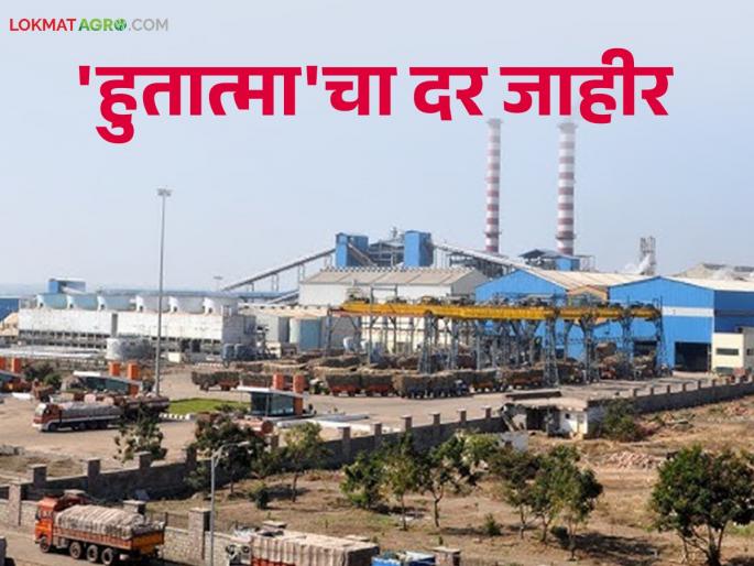 Sugarcane FRP 2024-25 : First frp installment of hutatma sugar factory announced in Sangli district; How was the rate given? | Sugarcane FRP 2024-25 : सांगली जिल्ह्यात हुतात्मा कारखान्याचा पहिला हप्ता जाहीर; कसा दिला दर Sugarcane FRP 2024-25 : First frp installment of hutatma sugar factory announced in Sangli district; How was the rate given? | Sugarcane FRP 2024-25 : सांगली जिल्ह्यात हुतात्मा कारखान्याचा पहिला हप्ता जाहीर; कसा दिला दर