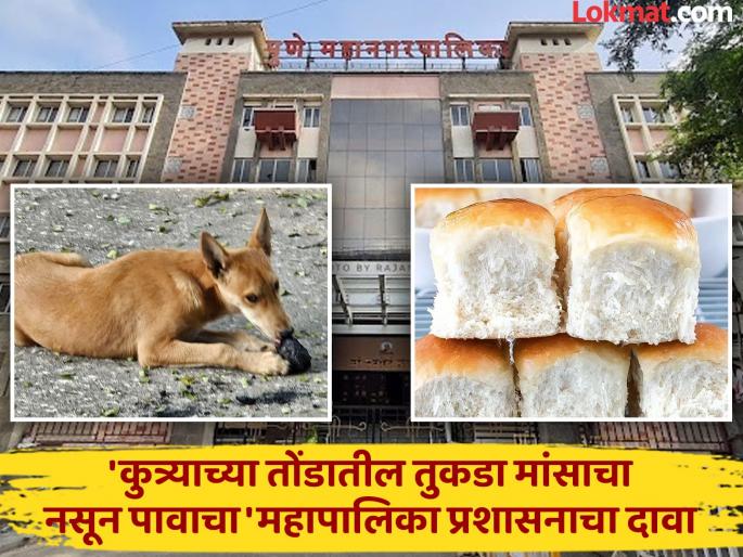 Video from Vaikunth goes viral The piece in the dog mouth is not meat but bread Municipal administration claims | ‘वैकुंठ’ व्हायरल व्हिडिओ : कुत्रा मांस नव्हे पाव खात असल्याचा महापालिकेचा दावा Video from Vaikunth goes viral The piece in the dog mouth is not meat but bread Municipal administration claims | ‘वैकुंठ’ व्हायरल व्हिडिओ : कुत्रा मांस नव्हे पाव खात असल्याचा महापालिकेचा दावा
