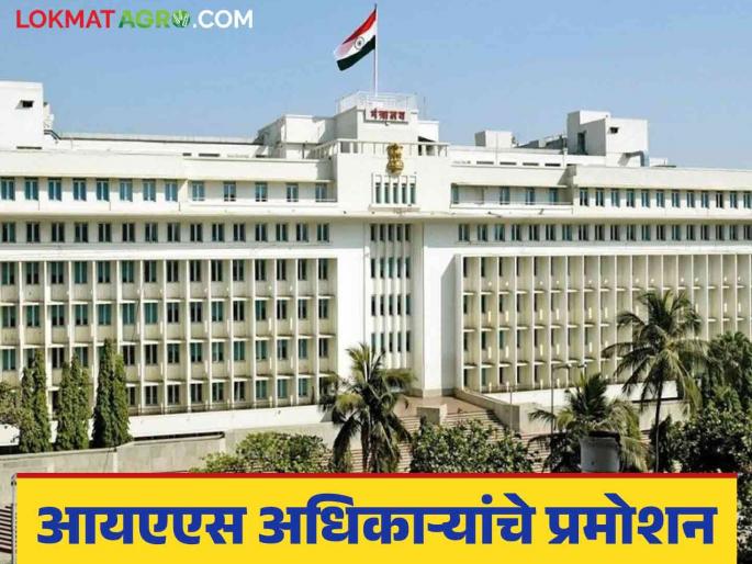 18 IAS officers in the state promoted; New Commissioner for Agriculture Department | राज्यातील १८ आयएएस अधिकाऱ्यांना प्रमोशन; कृषी विभागाला नवे आयुक्त 18 IAS officers in the state promoted; New Commissioner for Agriculture Department | राज्यातील १८ आयएएस अधिकाऱ्यांना प्रमोशन; कृषी विभागाला नवे आयुक्त