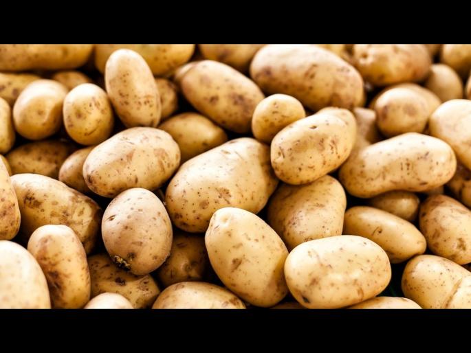 Is your potatoes healthy daily eating is bad or good | रोज बटाटे खाणं किती योग्य आणि काय याने वजन वाढतं? जाणून घ्या सत्य Is your potatoes healthy daily eating is bad or good | रोज बटाटे खाणं किती योग्य आणि काय याने वजन वाढतं? जाणून घ्या सत्य