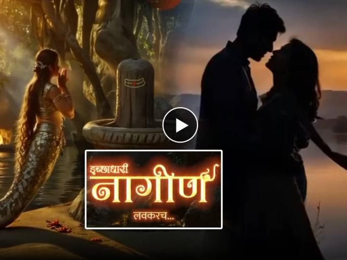 zee marathi new serial icchadhari nagin promo out watch video | झी मराठीची नवी मालिका 'इच्छाधारी नागीण', सूड आणि प्रेमाच्या या अजब खेळात काय निवडेल 'नागकन्या'? zee marathi new serial icchadhari nagin promo out watch video | झी मराठीची नवी मालिका 'इच्छाधारी नागीण', सूड आणि प्रेमाच्या या अजब खेळात काय निवडेल 'नागकन्या'?