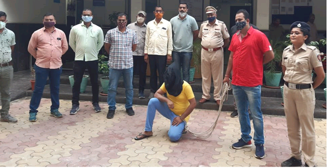 After three and half years found the infamous Ichhu in Nagpur | पावणेतीन वर्षानंतर सापडला नागपुरातील कुख्यात इच्छू After three and half years found the infamous Ichhu in Nagpur | पावणेतीन वर्षानंतर सापडला नागपुरातील कुख्यात इच्छू