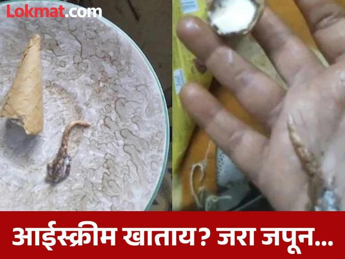 Lizard Tail Found in Cone Ice Cream Woman Hospitalized with Severe Stomach Pain | Viral Video : आईस्क्रीममध्ये सापडली पालीची शेपूट; व्हिडीओ पाहून तुम्हालाही किळस येईल Lizard Tail Found in Cone Ice Cream Woman Hospitalized with Severe Stomach Pain | Viral Video : आईस्क्रीममध्ये सापडली पालीची शेपूट; व्हिडीओ पाहून तुम्हालाही किळस येईल