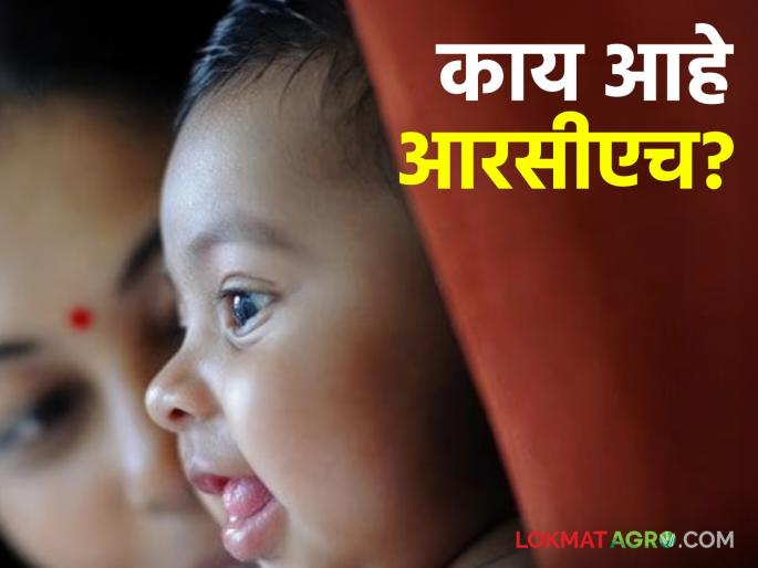 RCH Registration: Have you registered 'RCH' for the benefits of the government schemes? Read in detail | RCH Registration: शासकीय योजनांच्या लाभासाठी 'आरसीएच' नोंद केली का ? वाचा सविस्तर RCH Registration: Have you registered 'RCH' for the benefits of the government schemes? Read in detail | RCH Registration: शासकीय योजनांच्या लाभासाठी 'आरसीएच' नोंद केली का ? वाचा सविस्तर