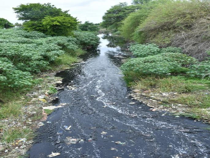 70 percent of Ichalkaranji polluted water directly into Panchganga river in kolhapur | Kolhapur- पंचगंगा प्रदूषण: इचलकरंजीचे ७० टक्के दूषित पाणी थेट पंचगंगेत  70 percent of Ichalkaranji polluted water directly into Panchganga river in kolhapur | Kolhapur- पंचगंगा प्रदूषण: इचलकरंजीचे ७० टक्के दूषित पाणी थेट पंचगंगेत