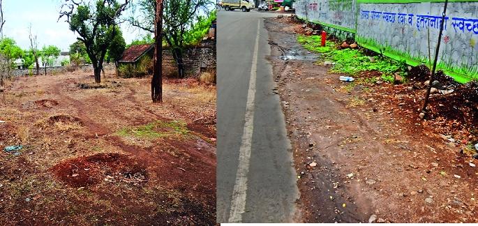  33 per cent of trees are cultivated: - There are no count of ten thousand plantations | ३३ टक्केच झाडांचे संवर्धन -: दहा हजार वृक्षारोपणाची गणतीच नाही