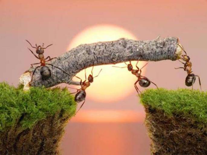 When the crisis comes, keep trying until the last moment, miracles happen; Read 'this' story! | संकट आले असता शेवटच्या क्षणापर्यंत प्रयत्न करत राहा, चमत्कार घडतोच; वाचा 'ही' गोष्ट! When the crisis comes, keep trying until the last moment, miracles happen; Read 'this' story! | संकट आले असता शेवटच्या क्षणापर्यंत प्रयत्न करत राहा, चमत्कार घडतोच; वाचा 'ही' गोष्ट!