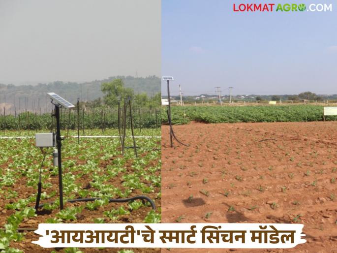 Save up to 30 percent of agricultural water for drought-prone areas; IIT develops 'this' model | दुष्काळी भागासाठी शेतीच्या पाण्यात करा ३० टक्क्यांपर्यंत बचत; आयआयटीने केले 'हे' मॉडेल विकसित Save up to 30 percent of agricultural water for drought-prone areas; IIT develops 'this' model | दुष्काळी भागासाठी शेतीच्या पाण्यात करा ३० टक्क्यांपर्यंत बचत; आयआयटीने केले 'हे' मॉडेल विकसित