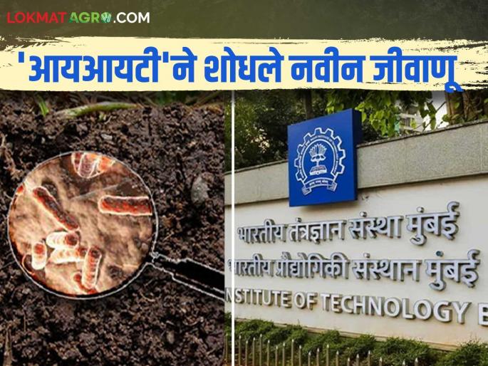 IIT Bombay discovers bacteria that can digest toxic chemicals in soil; let's see in detail | मातीतील विषारी रसायनांना खाऊन टाकणाऱ्या जीवाणूंचा शोध; पाहूया सविस्तर IIT Bombay discovers bacteria that can digest toxic chemicals in soil; let's see in detail | मातीतील विषारी रसायनांना खाऊन टाकणाऱ्या जीवाणूंचा शोध; पाहूया सविस्तर