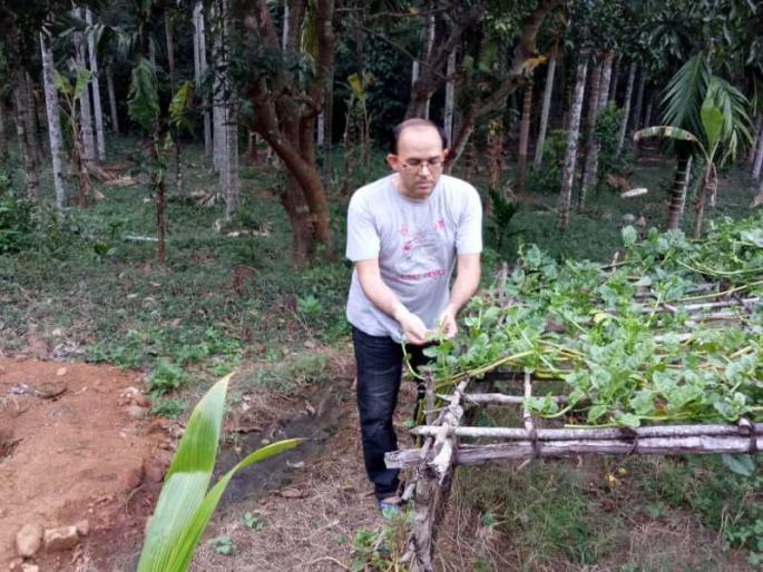 When a computer engineer decides to be a 'farmer' ... | वेडा आहेस का ? कॉम्प्युटर इंजिनिअर ‘शेतकरी’ व्हायचं ठरवतो तेव्हा... When a computer engineer decides to be a 'farmer' ... | वेडा आहेस का ? कॉम्प्युटर इंजिनिअर ‘शेतकरी’ व्हायचं ठरवतो तेव्हा...