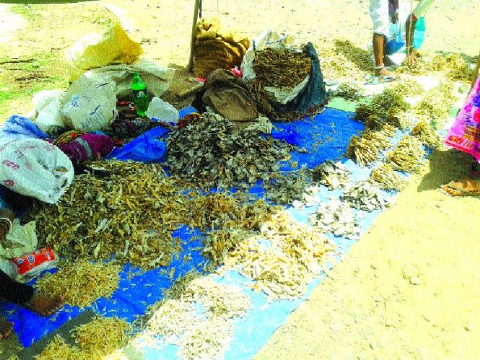 The crowd for the pre-monsoon purchase of the tribals | आदिवासींची मान्सूनपूर्व खरेदीसाठी गर्दी The crowd for the pre-monsoon purchase of the tribals | आदिवासींची मान्सूनपूर्व खरेदीसाठी गर्दी