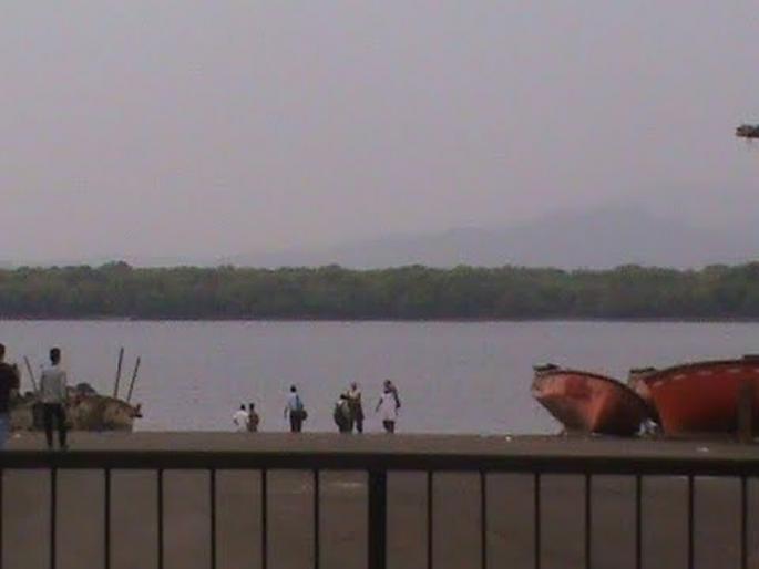 The young woman who had fallen into the creek was found seven hours later; Bhayandar Bay railway bridge incident | खाडीत पडलेली तरुणी सात तासांनी सापडली; भाईंदर खाडीच्या रेल्वे पुलावरील घटना The young woman who had fallen into the creek was found seven hours later; Bhayandar Bay railway bridge incident | खाडीत पडलेली तरुणी सात तासांनी सापडली; भाईंदर खाडीच्या रेल्वे पुलावरील घटना