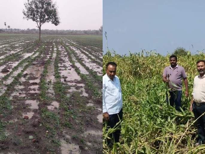 2 thousand 181 farmers die for crop insurance; Inexcusable negligence of insurance companies | २ हजार १८१ शेतकरी मारताहेत पिकविम्यासाठी चकरा; विमा कंपन्यांचं अक्षम्य दुर्लक्ष 2 thousand 181 farmers die for crop insurance; Inexcusable negligence of insurance companies | २ हजार १८१ शेतकरी मारताहेत पिकविम्यासाठी चकरा; विमा कंपन्यांचं अक्षम्य दुर्लक्ष