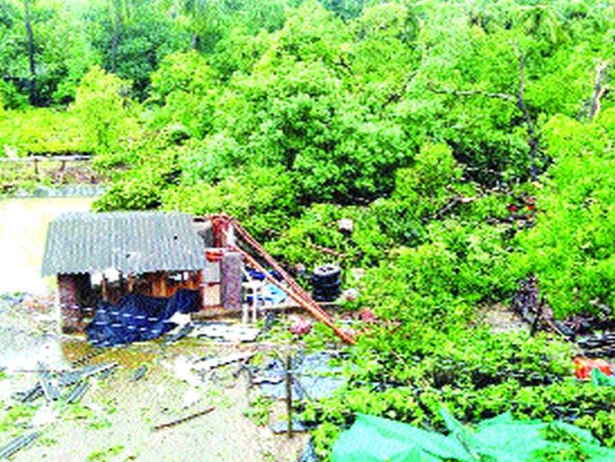 Disturbed families get 100 percent subsidy, 250 houses collapse, rainy season with rainy season, damaged coastal damage | उद्ध्वस्त कुटुंबांना मिळणार १०० टक्के अनुदान, २५० घरांची पडझड, वादळी वा-यासह बरसलेल्या पावसाने किनारपट्टीचे केले नुकसान Disturbed families get 100 percent subsidy, 250 houses collapse, rainy season with rainy season, damaged coastal damage | उद्ध्वस्त कुटुंबांना मिळणार १०० टक्के अनुदान, २५० घरांची पडझड, वादळी वा-यासह बरसलेल्या पावसाने किनारपट्टीचे केले नुकसान