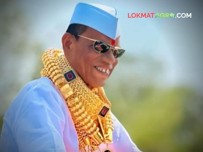 Who was Pandharisheth Phadke passed away a bullock cart lover | बैलगाडाप्रेमी, गोल्डनमॅन म्हणून ओळख असलेले पंढरीशेठ फडके कोण होते? Who was Pandharisheth Phadke passed away a bullock cart lover | बैलगाडाप्रेमी, गोल्डनमॅन म्हणून ओळख असलेले पंढरीशेठ फडके कोण होते?