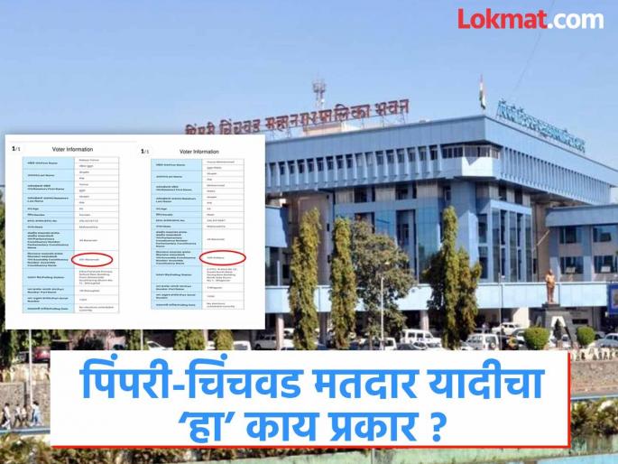 pimpari-chinchwad municipal news election name in bhosari during the assembly elections, now in the voter list of Indapur | विधानसभेवेळी भोसरीत,आता इंदापूरच्या मतदार यादीत नाव;इच्छुक पती-पत्नीचे नाव गेले दुसरीकडे