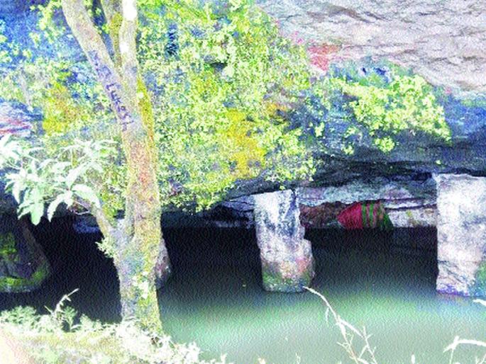 Radical heritage of plant and culture, religious sentiments expressed in a starfish | चकाकणा-या वनस्पती अन संस्कृतीचा वारसा, तारपानृत्याद्वारे व्यक्त झाल्या धार्मिक भावना Radical heritage of plant and culture, religious sentiments expressed in a starfish | चकाकणा-या वनस्पती अन संस्कृतीचा वारसा, तारपानृत्याद्वारे व्यक्त झाल्या धार्मिक भावना