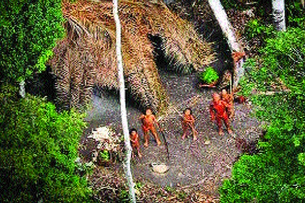 Spider man in real life | कुठलाही आधार न घेता डोंगर चढणारे रीअल लाइफमधील स्पायडर मॅन