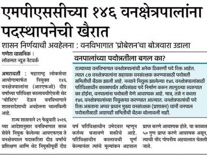 Finally, 146 forest areas of MPSC were made under the examination, horses of Vani | अखेर एमपीएससीच्या १४६ वनक्षेत्रपालांना परीविक्षाधीन बनविले, वनविभागाचे वरातीमागून घोडे Finally, 146 forest areas of MPSC were made under the examination, horses of Vani | अखेर एमपीएससीच्या १४६ वनक्षेत्रपालांना परीविक्षाधीन बनविले, वनविभागाचे वरातीमागून घोडे