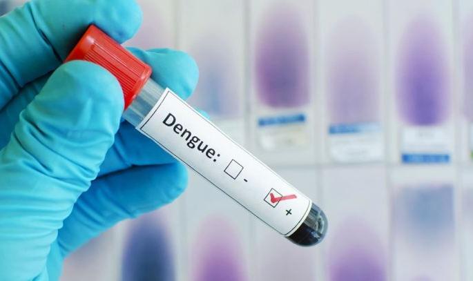 Outbreak of dengue, malaria, chikungunya in Nagpur? | उपराजधानीत डेंग्यू, मलेरिया, चिकनगुनियाचा प्रकोप होणार?