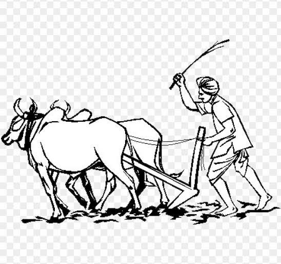 Farmers deserve 3 cases of suicide | शेतकरी आत्महत्येची १३ प्रकरणे पात्र