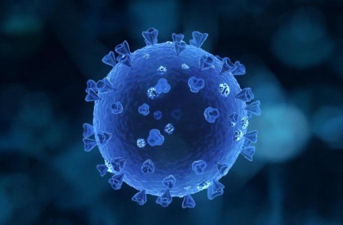 State government employees will pay one day's salary to the government | Coronavirus in Maharashtra; राज्य सरकारी कर्मचारी एक दिवसाचे वेतन शासनाला देणार State government employees will pay one day's salary to the government | Coronavirus in Maharashtra; राज्य सरकारी कर्मचारी एक दिवसाचे वेतन शासनाला देणार