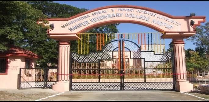 Veterinary Degree College Admission stalled | पशुवैद्यकीय पदवी महाविद्यालयाचे प्रवेश रखडले Veterinary Degree College Admission stalled | पशुवैद्यकीय पदवी महाविद्यालयाचे प्रवेश रखडले