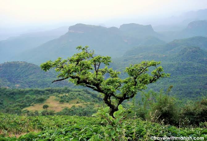 Goddess of nature | निसर्गदेवतेचे पूजक