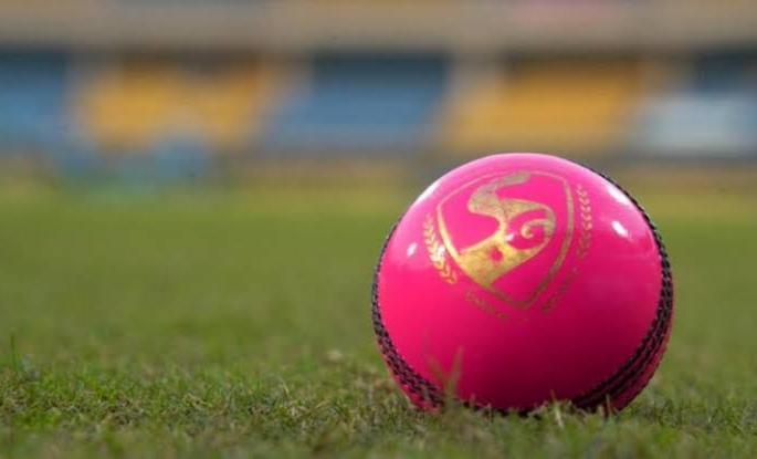 Pink Chapter! | गुलाबी अध्याय! Pink Chapter! | गुलाबी अध्याय!