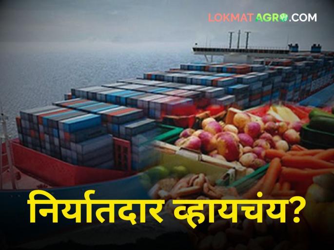 Move from 'Farmer' to 'Exporter'! Before that, remember these things | 'शेतकरी' ते 'निर्यातदार' वाटचाल करा! त्याआधी 'या' गोष्टी लक्षात ठेवाच