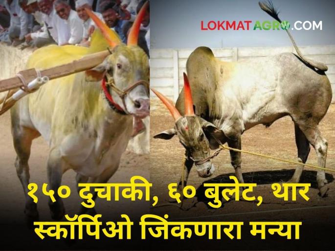 Who was Manya who won 150 bikes, 60 bullets, tractor, bolero, Thar, Scorpio? Lakhs attended the Dashakryi | १५० दुचाकी, ६० बुलेट, ट्रॅक्टर, बोलेरो, थार, स्कॉर्पिओ जिंकणारा मन्या कोण होता? ज्याच्या दशक्रियेला लाखोंची हजेरी
