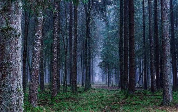 Death is the first sight seen | डोळ्यासमोर पाहिला साक्षात मृत्यूच Death is the first sight seen | डोळ्यासमोर पाहिला साक्षात मृत्यूच