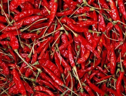 CoronaVirus: Lockdown on Dharmabad pepper; Thousands lost their jobs | CoronaVirus : धर्माबादच्या मिरचीला लॉकडाऊनचा ठसका; हजारो जणांचा रोजगार बुडाला CoronaVirus: Lockdown on Dharmabad pepper; Thousands lost their jobs | CoronaVirus : धर्माबादच्या मिरचीला लॉकडाऊनचा ठसका; हजारो जणांचा रोजगार बुडाला