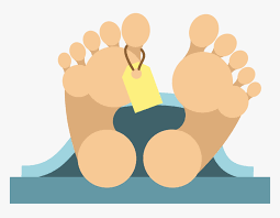 The body of the missing person was finally found | बेपत्ता व्यक्तीचा अखेर मृतदेहच आढळला The body of the missing person was finally found | बेपत्ता व्यक्तीचा अखेर मृतदेहच आढळला