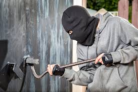 Thieves ... Thieves scream and shout, leaving Tommy | चोर ... चोर आरडा-ओरड करताचं टॉमी सोडून चोरटे पसार Thieves ... Thieves scream and shout, leaving Tommy | चोर ... चोर आरडा-ओरड करताचं टॉमी सोडून चोरटे पसार