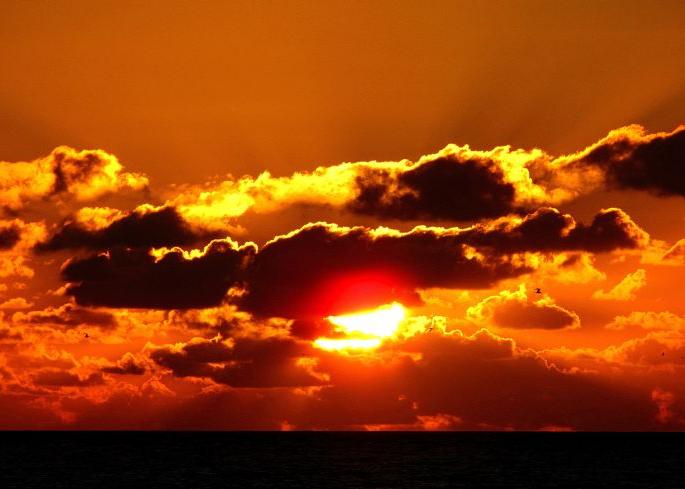 Nagpur heated; Temperature 45.4 degrees; The hottest day of the summer this year | नागपूर तापले; तापमान ४५.४ डिग्री; यंदाच्या उन्हाळ्यातील सर्वांत उष्ण दिवस 