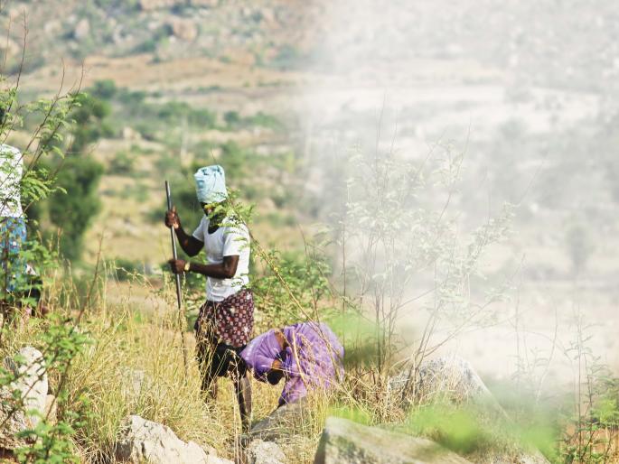 NAREGA In Andhra pradesh. This scheme gave strength to poor people to live self sufficient | गरीबांना स्वयंपूर्ण करणारी नरेगा. आंध्रप्रदेशातल्या या मॉडेलविषयी माहिती आहे का? NAREGA In Andhra pradesh. This scheme gave strength to poor people to live self sufficient | गरीबांना स्वयंपूर्ण करणारी नरेगा. आंध्रप्रदेशातल्या या मॉडेलविषयी माहिती आहे का?