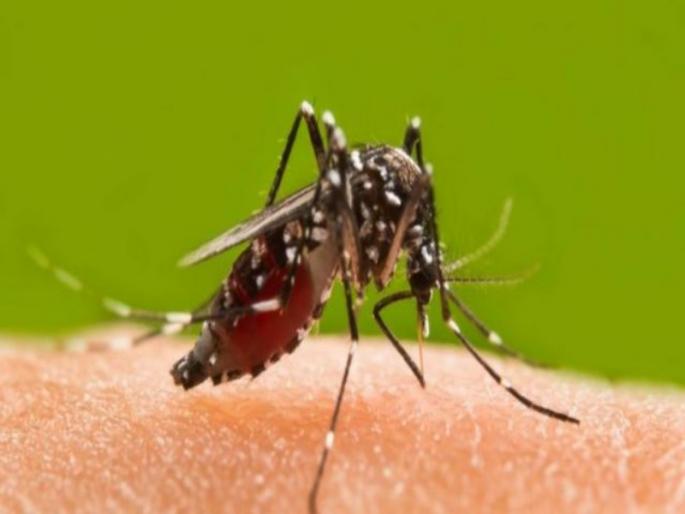 Beware! Entry of new virus in Pune; Take care of the little ones | सावधान! पुण्यात नव्या विषाणूची एंट्री; चिमुकल्यांना सांभाळा Beware! Entry of new virus in Pune; Take care of the little ones | सावधान! पुण्यात नव्या विषाणूची एंट्री; चिमुकल्यांना सांभाळा