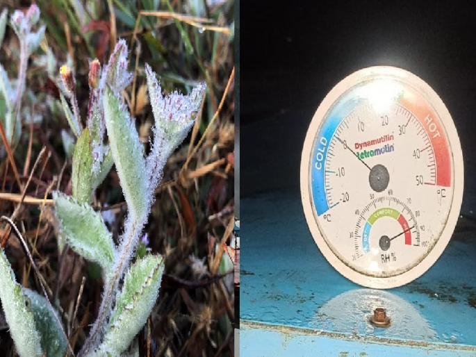 Mahabaleshwar at zero degrees Temperature | महाबळेश्वरात अवतरलं काश्मीर, दुसऱ्या दिवशीही हिमकणांचा नजराना Mahabaleshwar at zero degrees Temperature | महाबळेश्वरात अवतरलं काश्मीर, दुसऱ्या दिवशीही हिमकणांचा नजराना