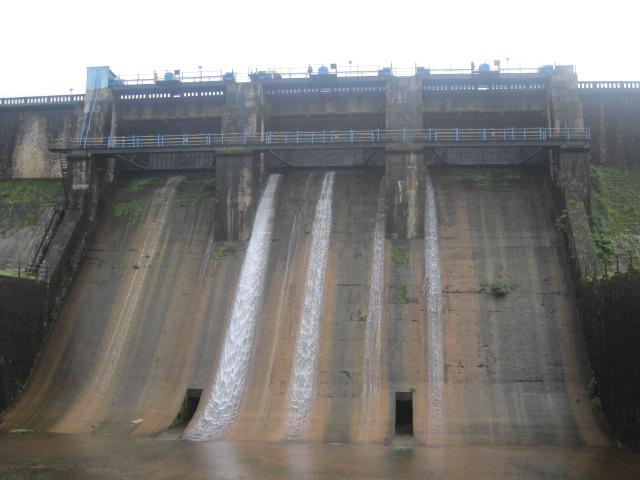 249 mm of rain in 24 hours; Tulsi is 66 percent full | चोवीस तासात तब्बल २४९ मिली मिटर पाऊस ; तुळशी ६६ टक्के भरले 249 mm of rain in 24 hours; Tulsi is 66 percent full | चोवीस तासात तब्बल २४९ मिली मिटर पाऊस ; तुळशी ६६ टक्के भरले