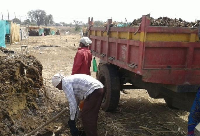 The price of a brass is now three thousand rupees | शेणालाही मिळतोय बक्कळ दर, एक ब्रासची किंमत आता तीन हजार The price of a brass is now three thousand rupees | शेणालाही मिळतोय बक्कळ दर, एक ब्रासची किंमत आता तीन हजार