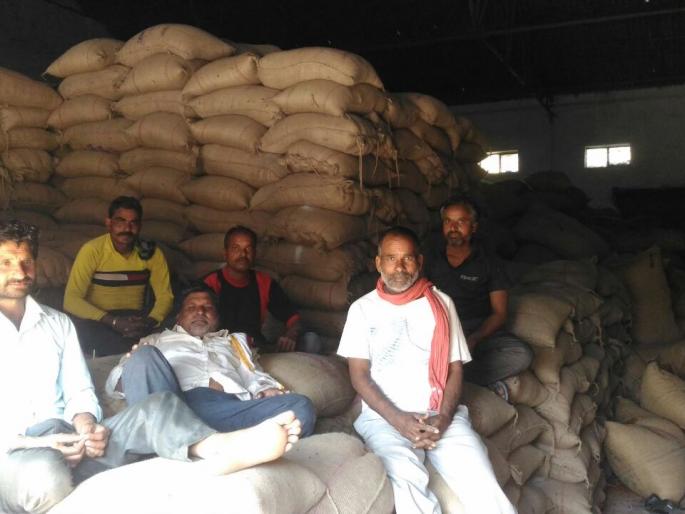 Since the warehouses in Washim district, the employment of the hamalas was reduced! | गोदामे भरून असल्याने हमालांचा हिरावल्या गेला रोजगार! Since the warehouses in Washim district, the employment of the hamalas was reduced! | गोदामे भरून असल्याने हमालांचा हिरावल्या गेला रोजगार!