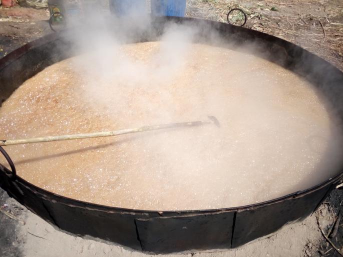 After 25 years of long period, there is a lot of discontinuity in the Panchodhya area | २५ वर्षांच्या दीर्घ कालखंडानंतर पाचोड परिसरात गु-हाळ सुरु After 25 years of long period, there is a lot of discontinuity in the Panchodhya area | २५ वर्षांच्या दीर्घ कालखंडानंतर पाचोड परिसरात गु-हाळ सुरु