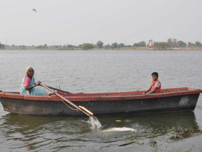 Chandrakalbai exercising to make a boat in the Godapatra | गोदापात्रात होडी हाकण्यासाठी कसरत करणा-या चंद्रकलाबाई Chandrakalbai exercising to make a boat in the Godapatra | गोदापात्रात होडी हाकण्यासाठी कसरत करणा-या चंद्रकलाबाई