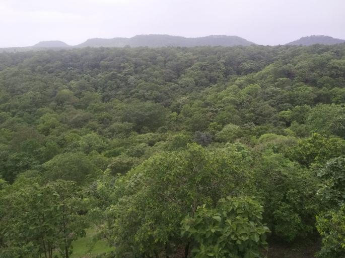 The new heaven is new! | उतरला धरेवरी स्वर्ग हा नवा नवा! The new heaven is new! | उतरला धरेवरी स्वर्ग हा नवा नवा!